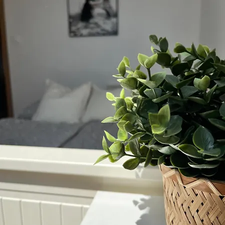 Loft Fifteen *